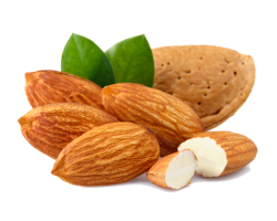 Almond 100%