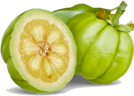 Garcinia gambogia