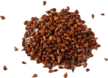 Grape seed extract